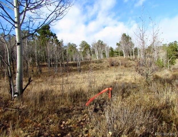 Tbd Cherokee Trail Hartsel CO 80449