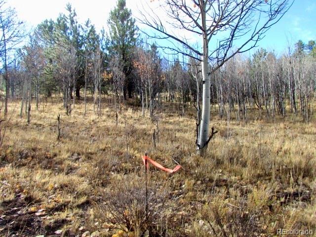Tbd Cherokee Trail Hartsel CO 80449