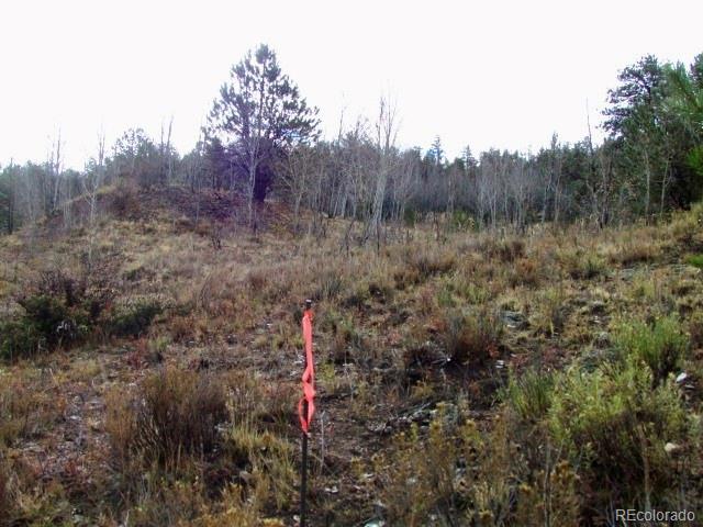 Tbd Cherokee Trail Hartsel CO 80449