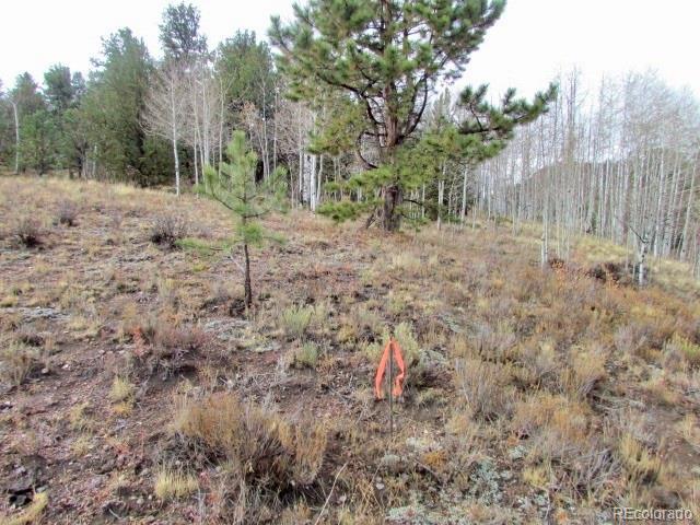 Tbd Cherokee Trail Hartsel CO 80449