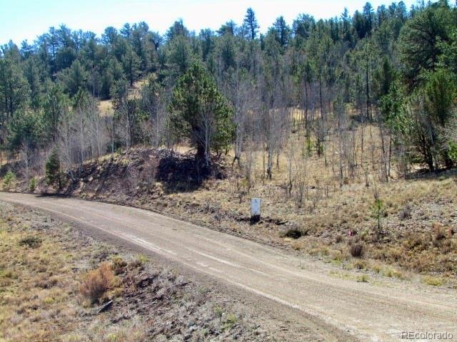 Tbd Cherokee Trail Hartsel CO 80449