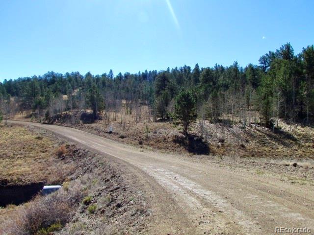 Tbd Cherokee Trail Hartsel CO 80449