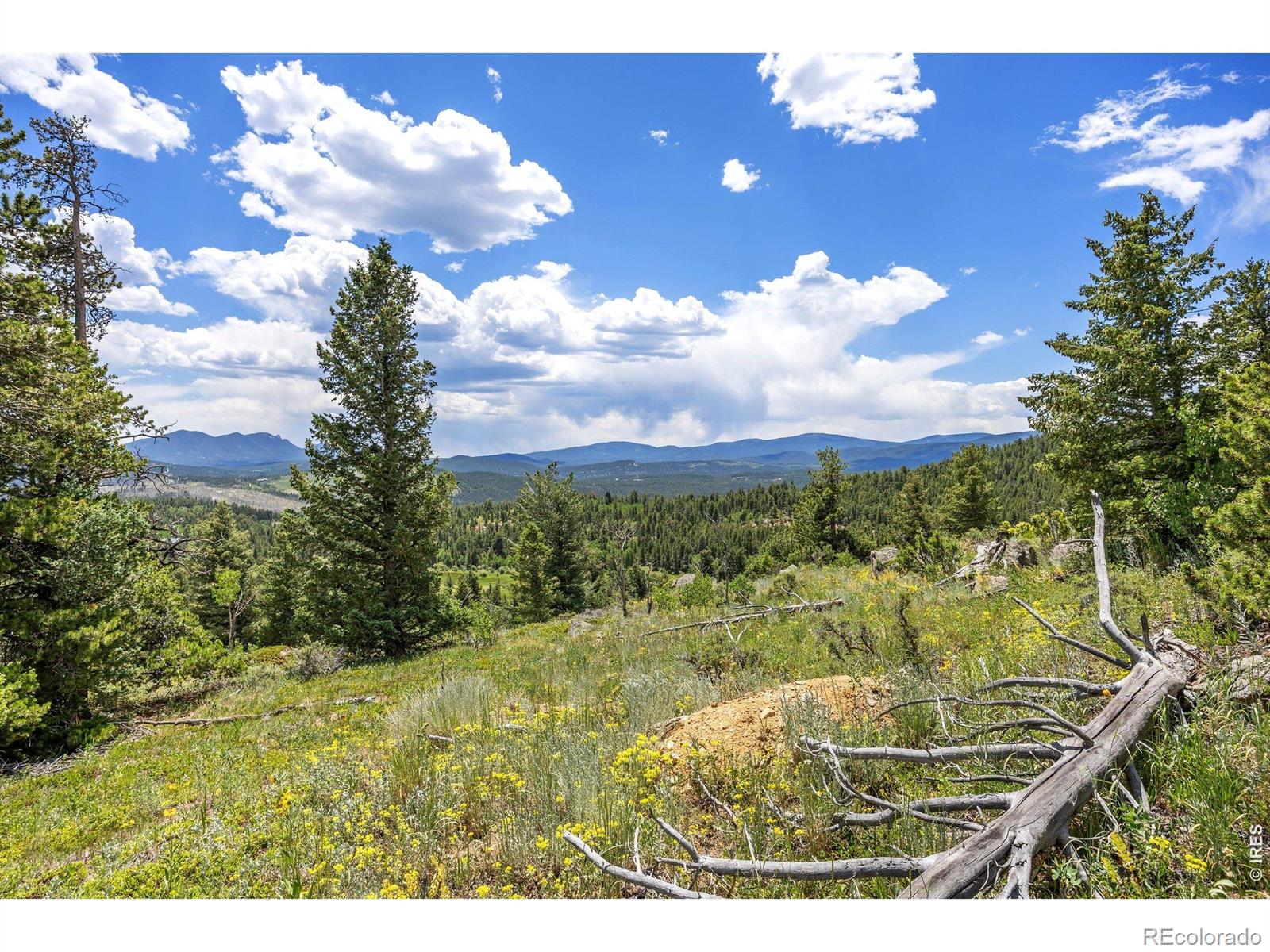 1568 County Road 103 Nederland CO 80466