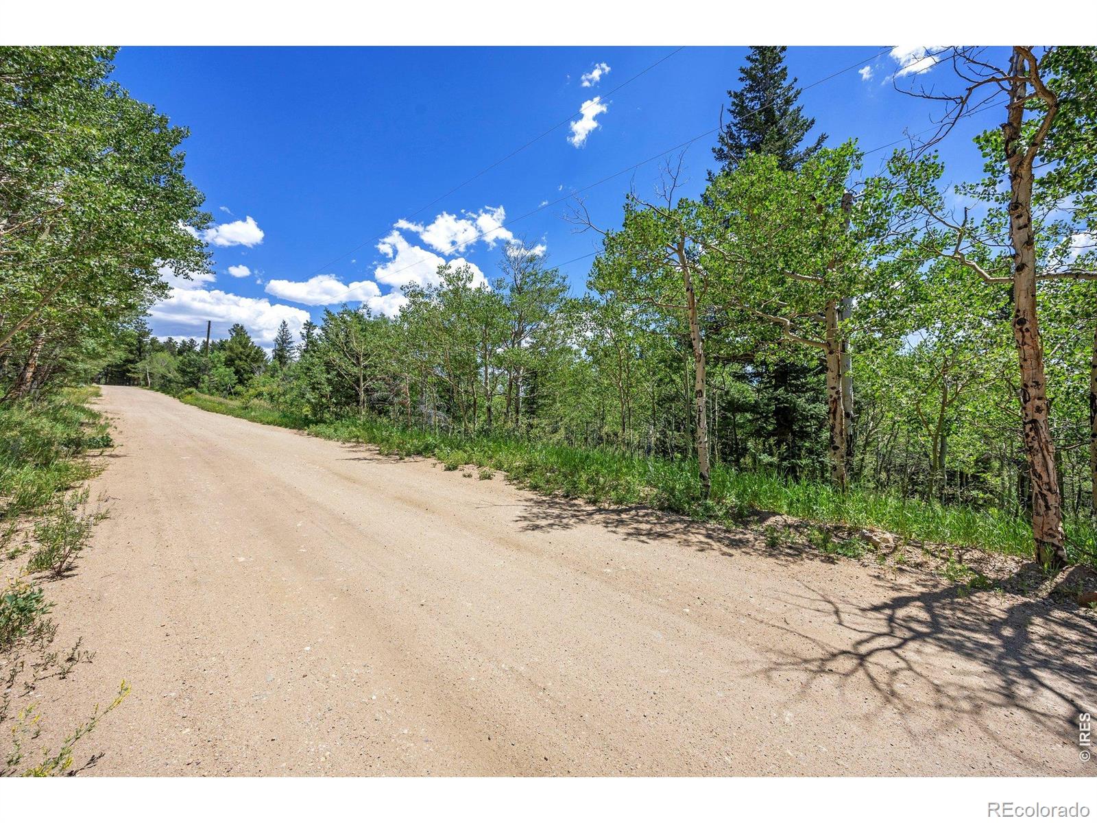 1568 County Road 103 Nederland CO 80466