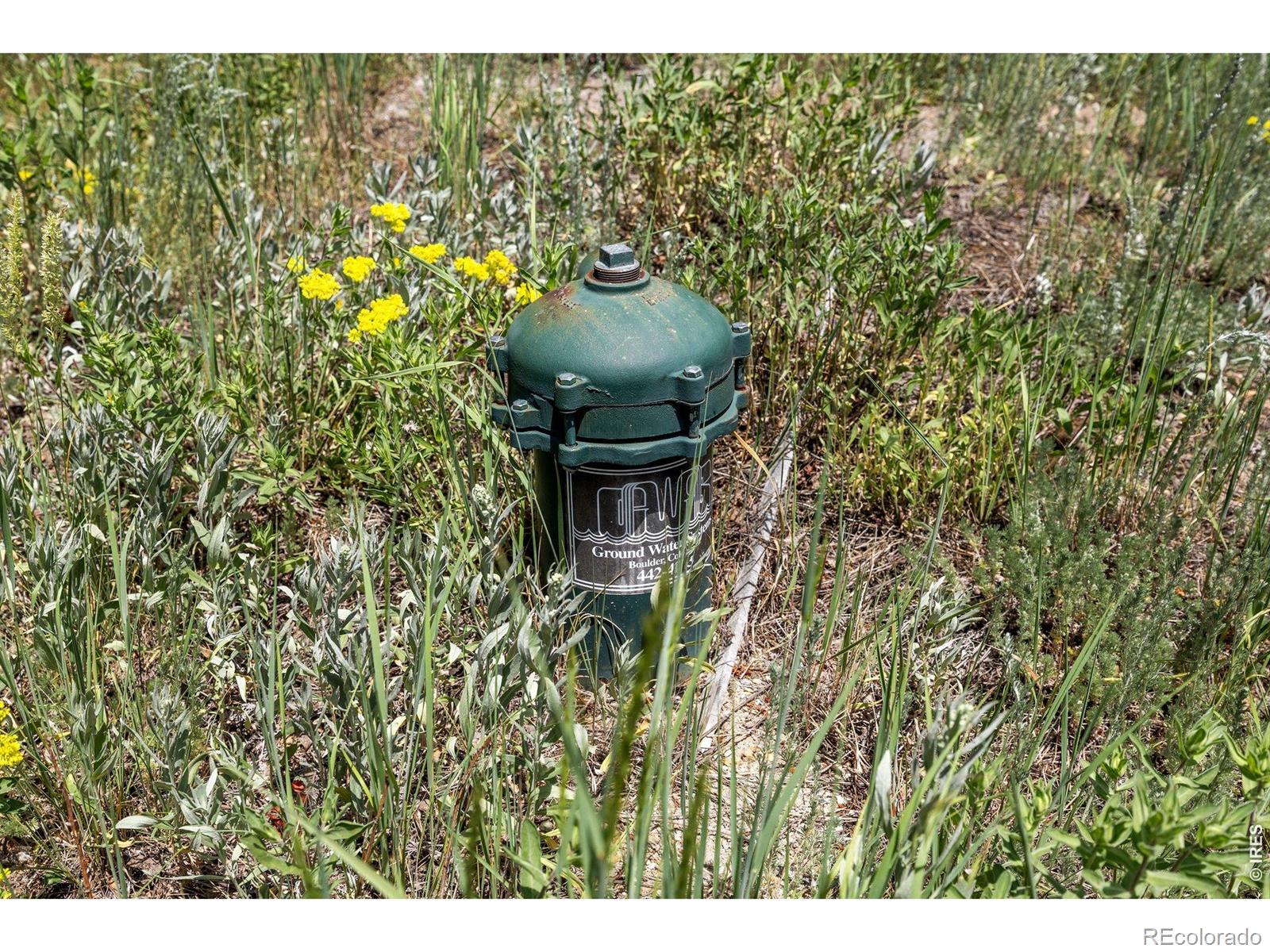 1568 County Road 103 Nederland CO 80466