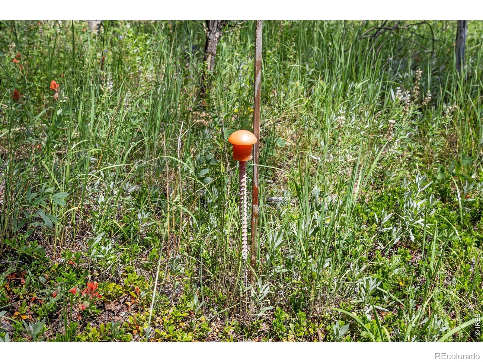 1568 County Road 103 Nederland CO 80466
