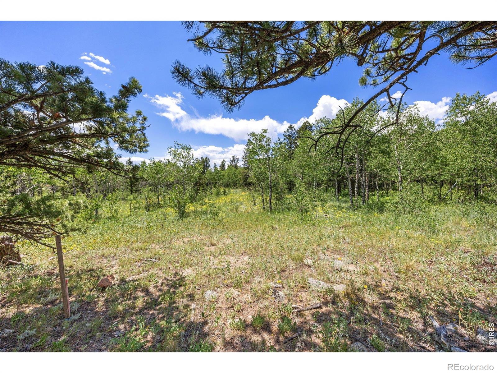 1568 County Road 103 Nederland CO 80466