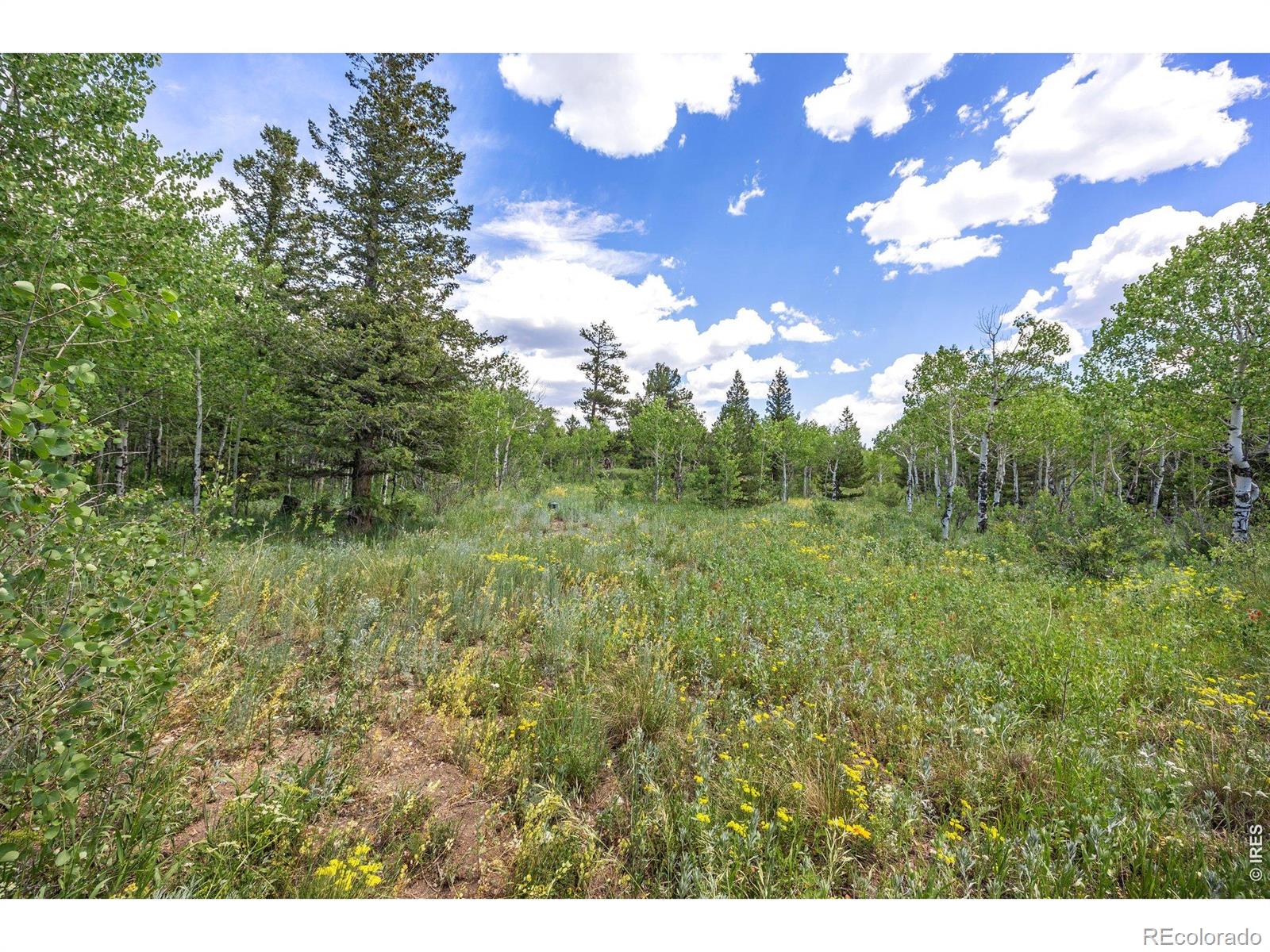 1568 County Road 103 Nederland CO 80466