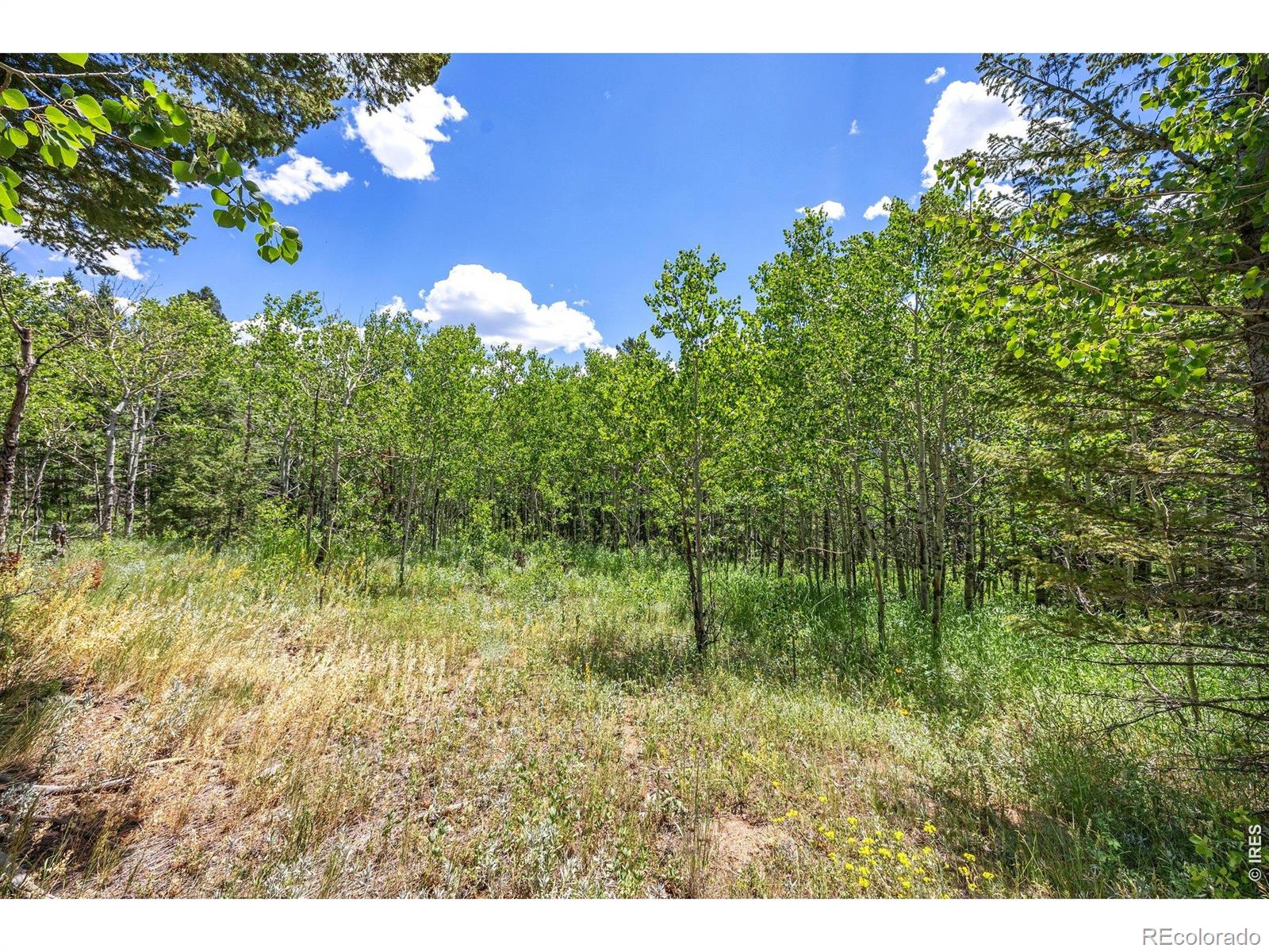 1568 County Road 103 Nederland CO 80466