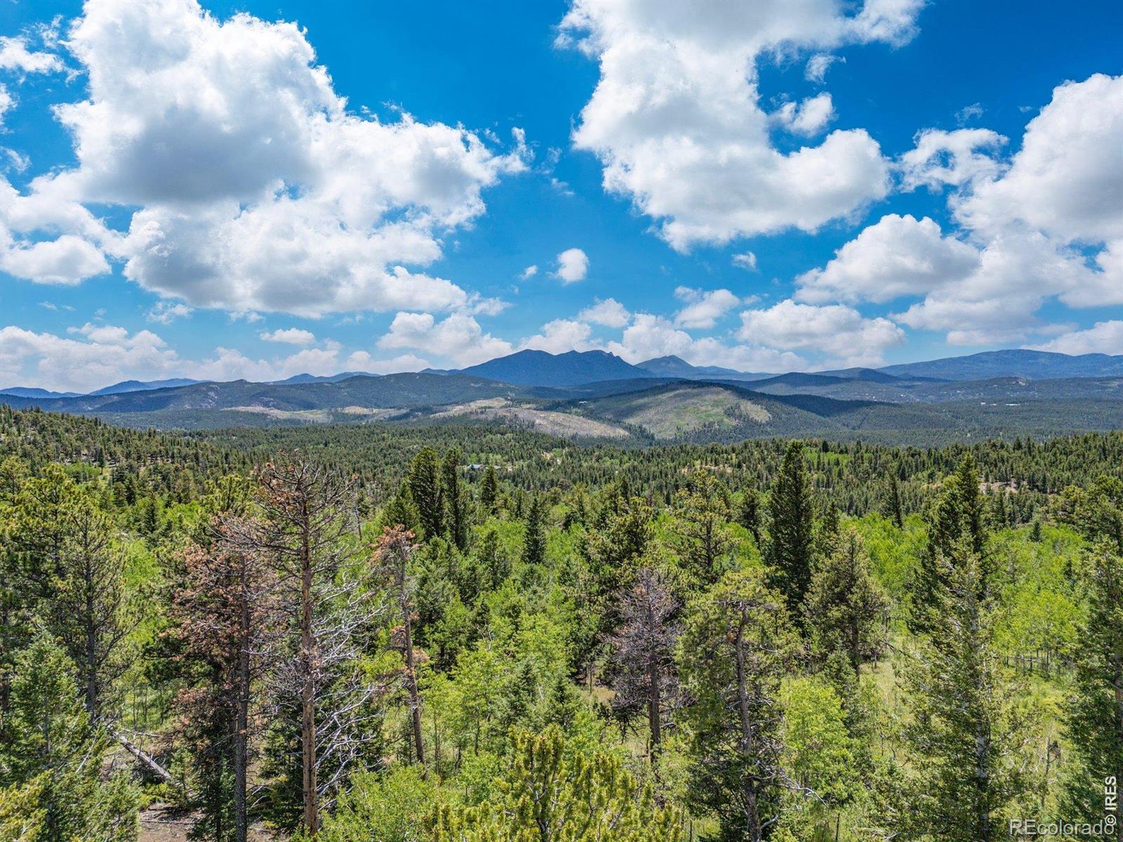 1568 County Road 103 Nederland CO 80466