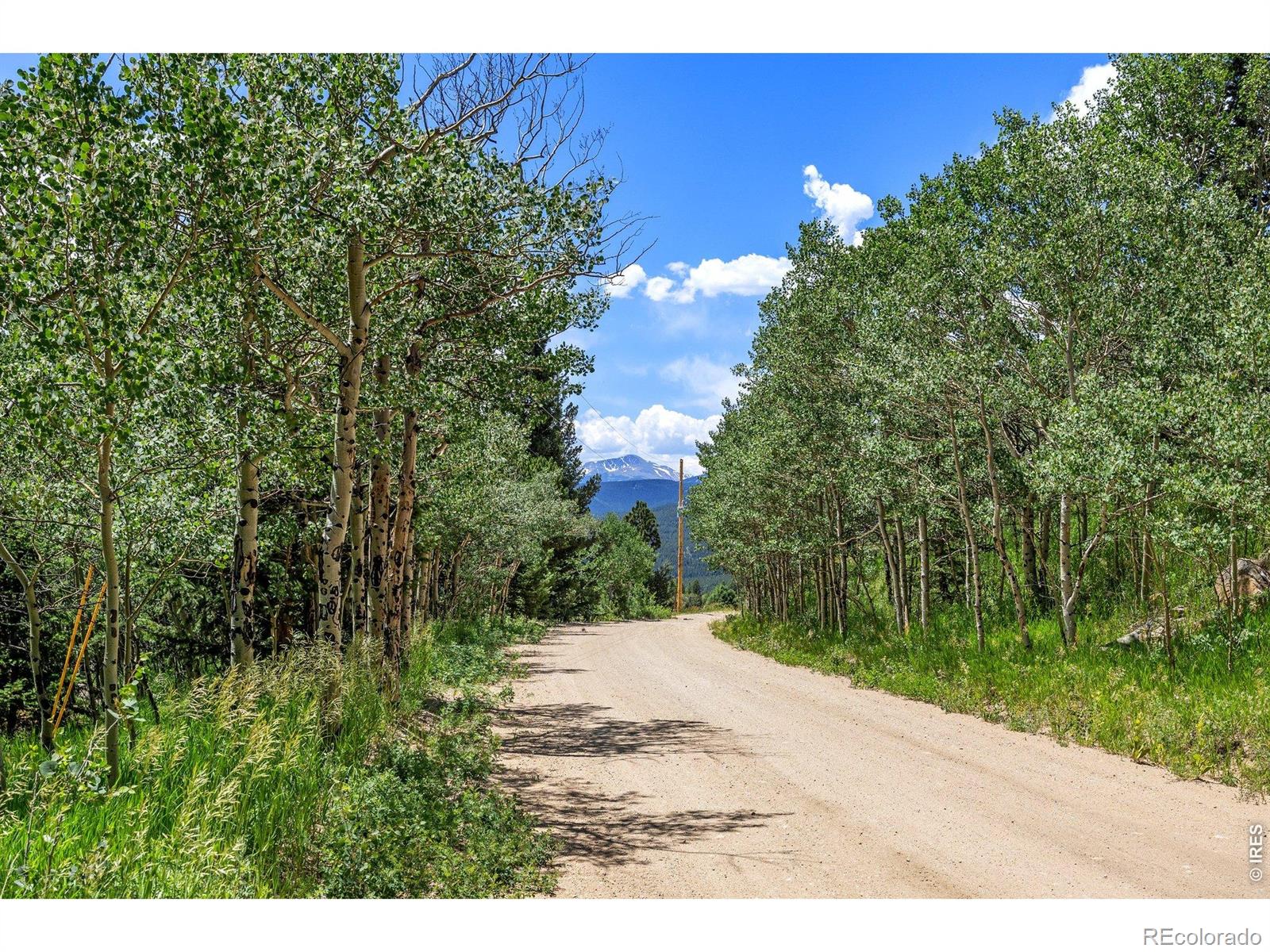 1568 County Road 103 Nederland CO 80466