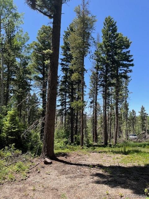 Lot 2449 Petito Drive Fort Garland CO 81133