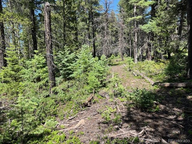Lot 2449 Petito Drive Fort Garland CO 81133