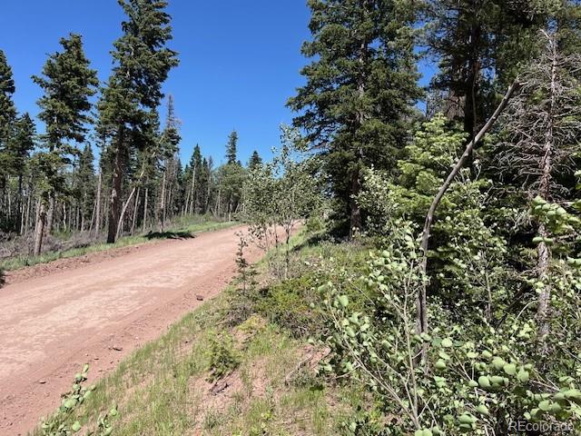 Lot 2449 Petito Drive Fort Garland CO 81133