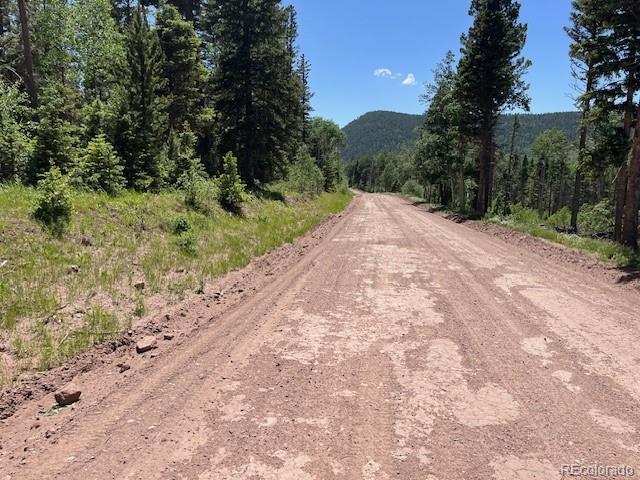 Lot 2449 Petito Drive Fort Garland CO 81133