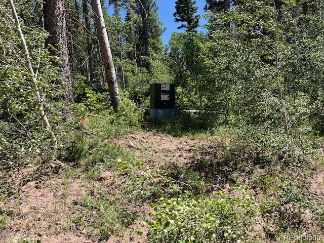 Lot 2449 Petito Drive Fort Garland CO 81133