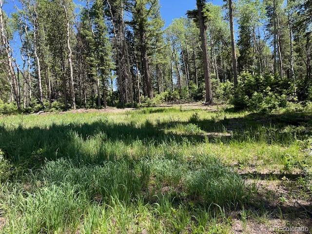 Lot 2449 Petito Drive Fort Garland CO 81133
