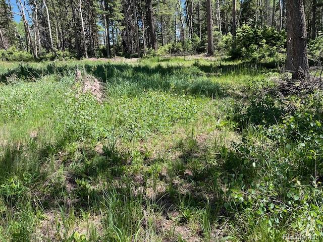 Lot 2449 Petito Drive Fort Garland CO 81133