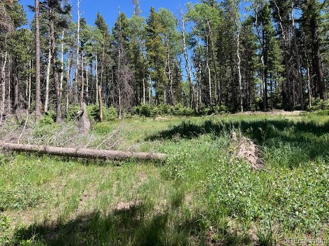 Lot 2449 Petito Drive Fort Garland CO 81133