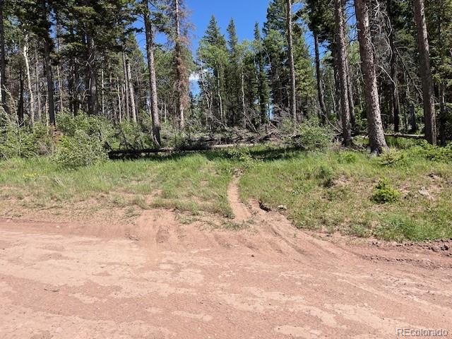 Lot 2449 Petito Drive Fort Garland CO 81133
