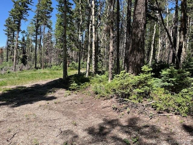 Lot 2449 Petito Drive Fort Garland CO 81133