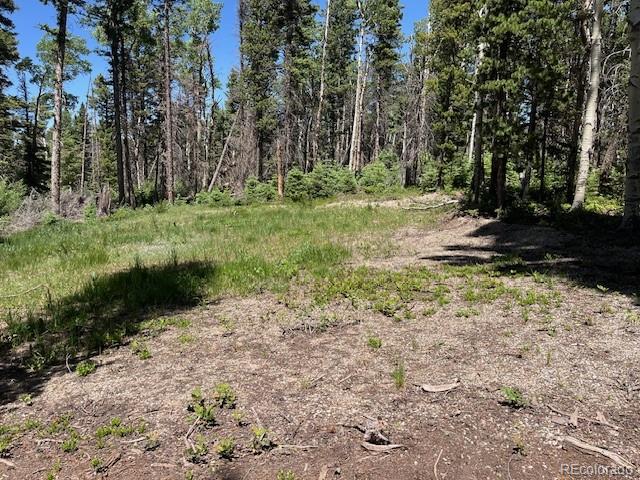 Lot 2449 Petito Drive Fort Garland CO 81133