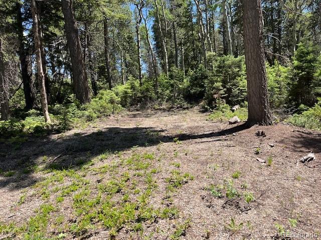 Lot 2449 Petito Drive Fort Garland CO 81133