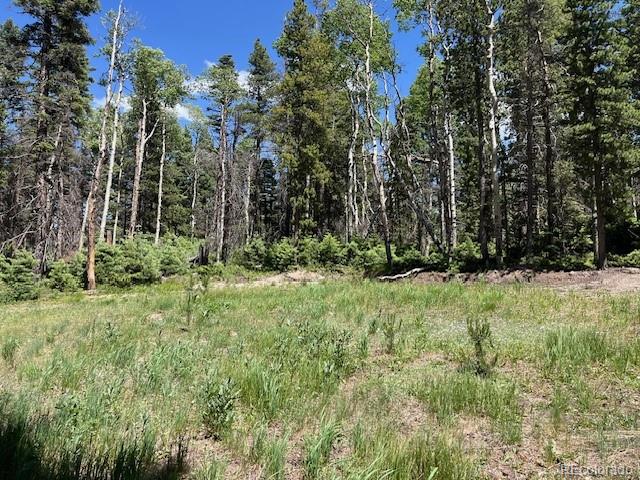 Lot 2449 Petito Drive Fort Garland CO 81133
