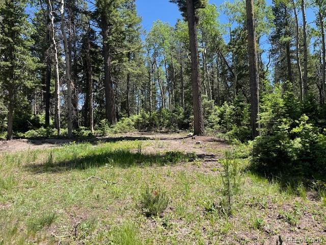 Lot 2449 Petito Drive Fort Garland CO 81133