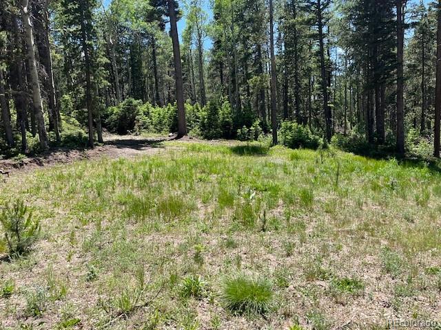 Lot 2449 Petito Drive Fort Garland CO 81133