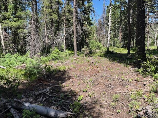 Lot 2449 Petito Drive Fort Garland CO 81133