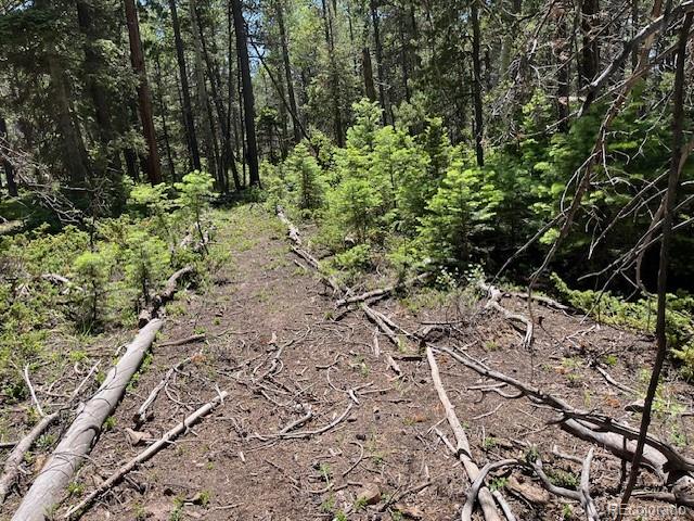 Lot 2449 Petito Drive Fort Garland CO 81133