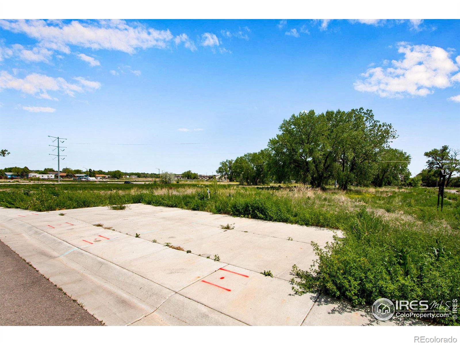 532 Osiander Street Fort Collins CO 80524
