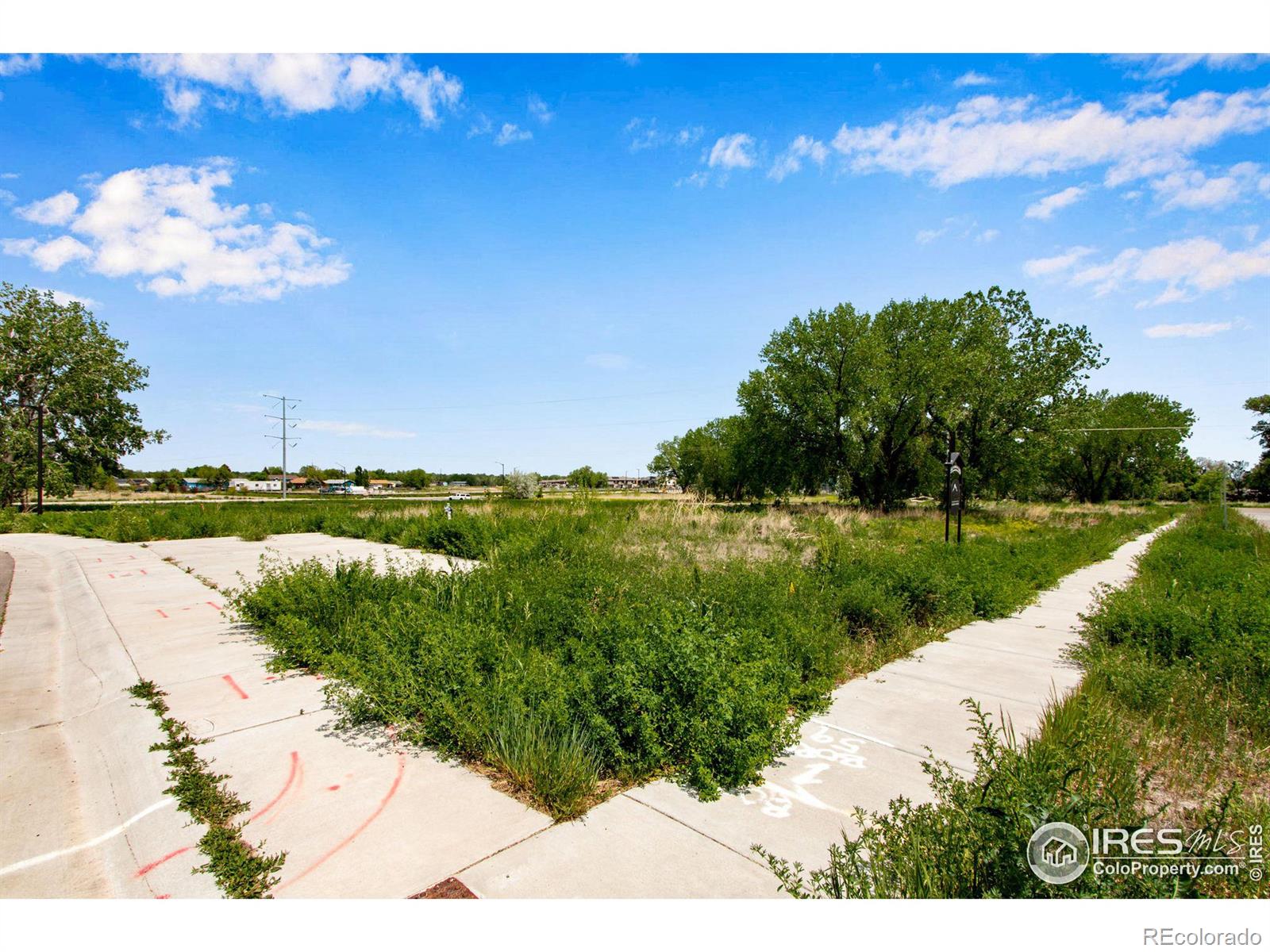 532 Osiander Street Fort Collins CO 80524