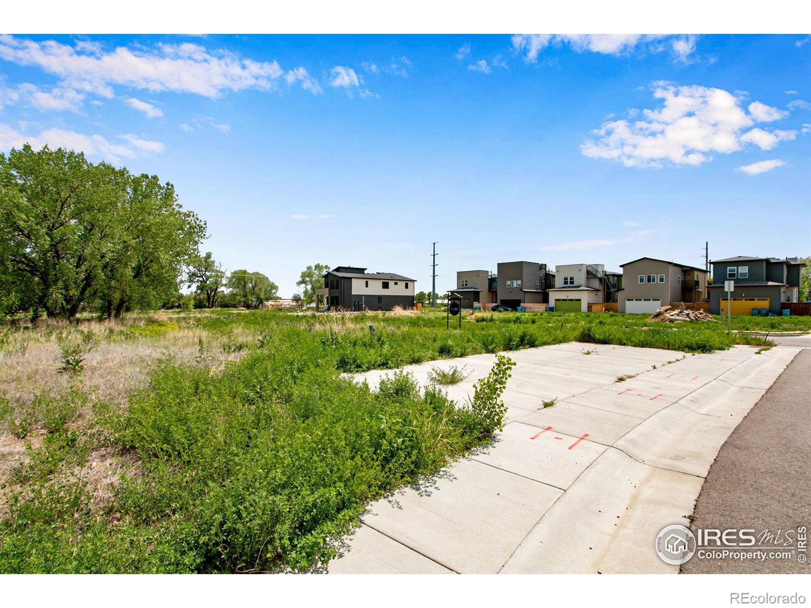 532 Osiander Street Fort Collins CO 80524
