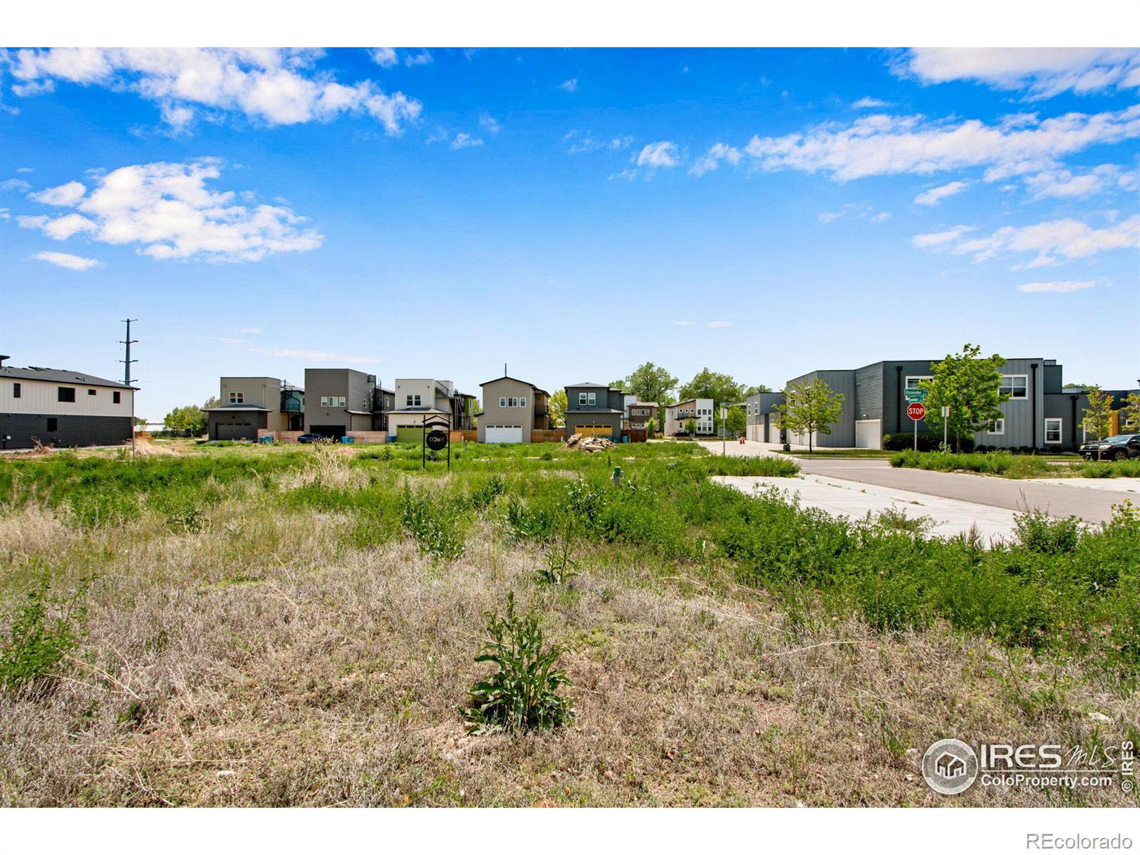532 Osiander Street Fort Collins CO 80524