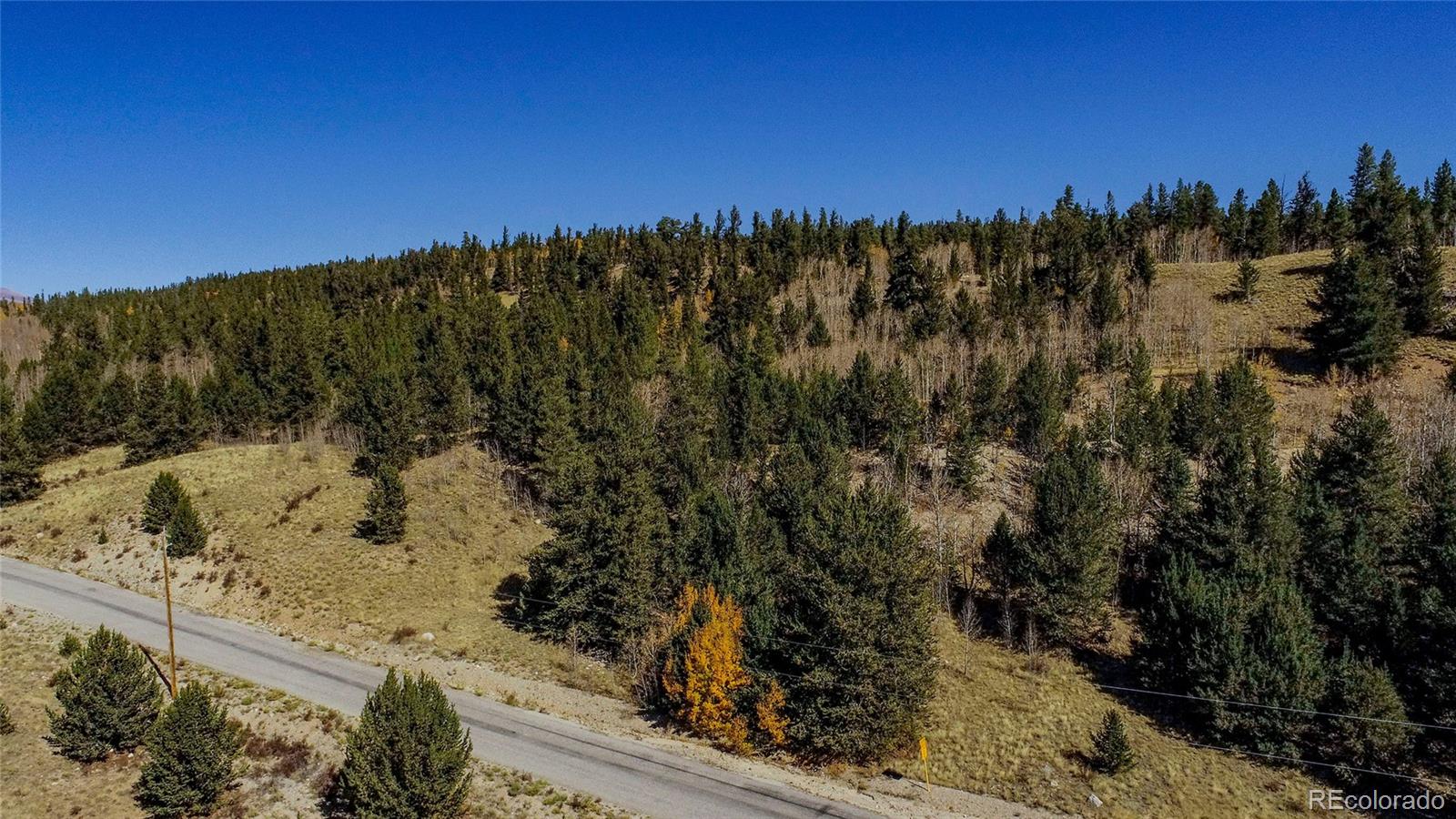 112 Platte River Drive Fairplay CO 80440