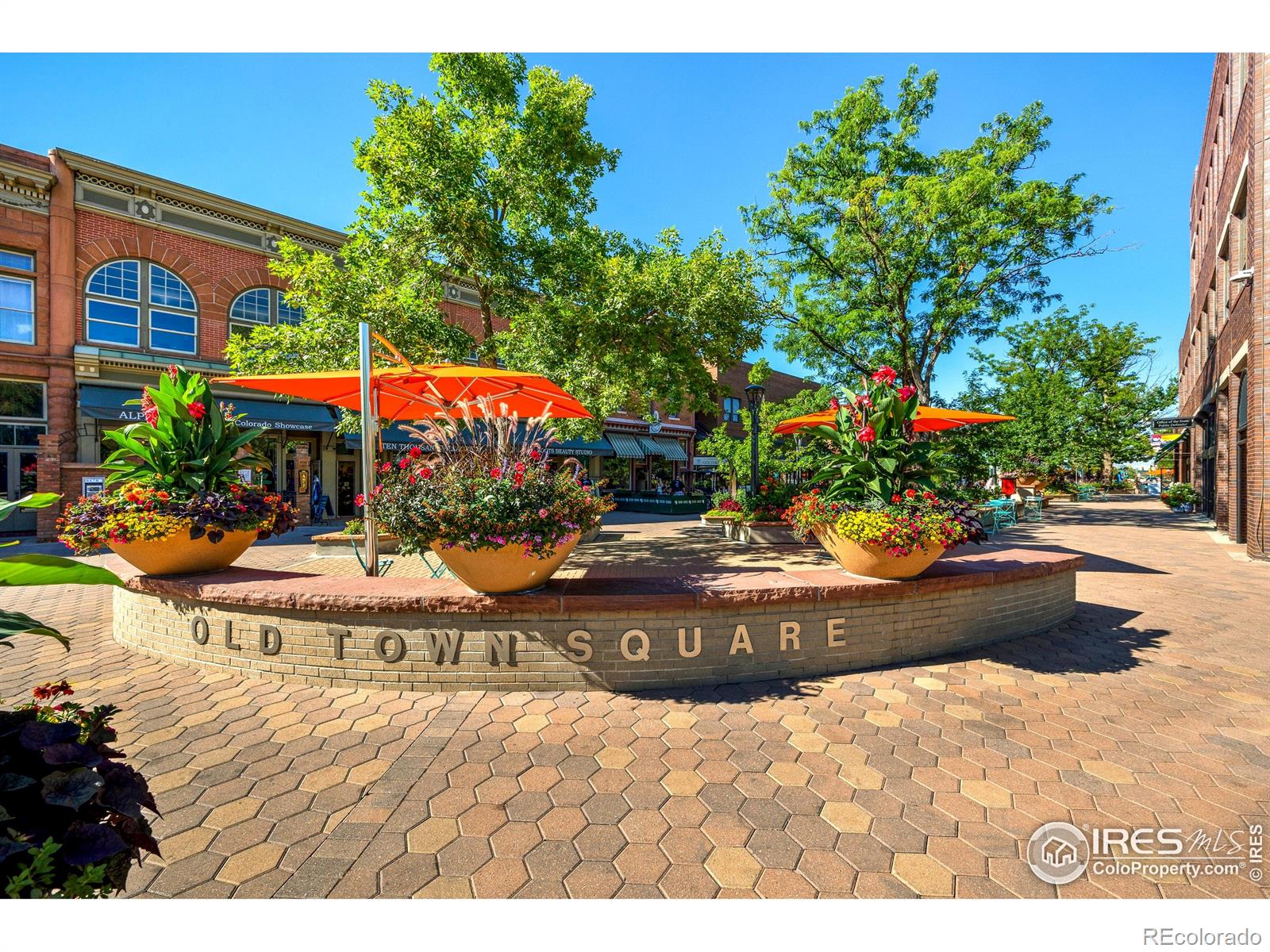 1180 Gregory Cove Drive Fort Collins CO 80524