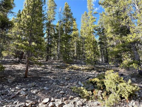 5282 Roy Leadville CO 80461