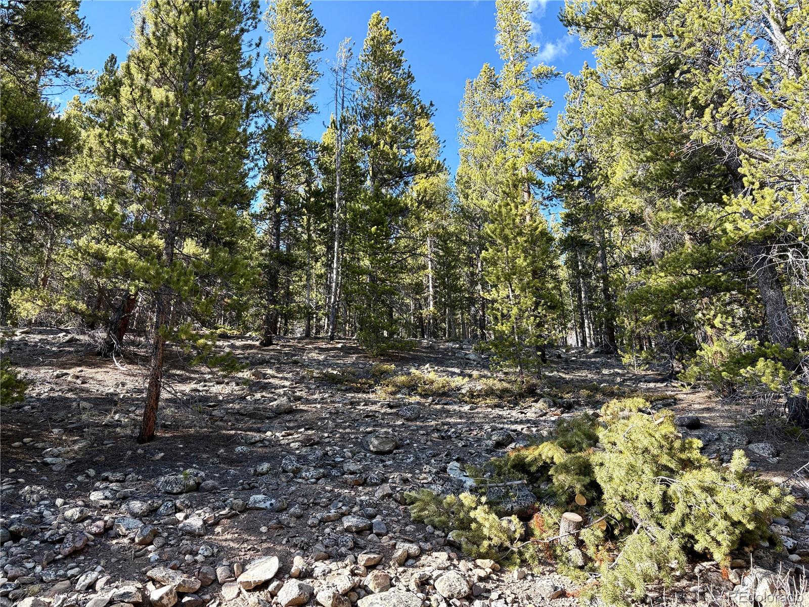 5282 Roy Leadville CO 80461