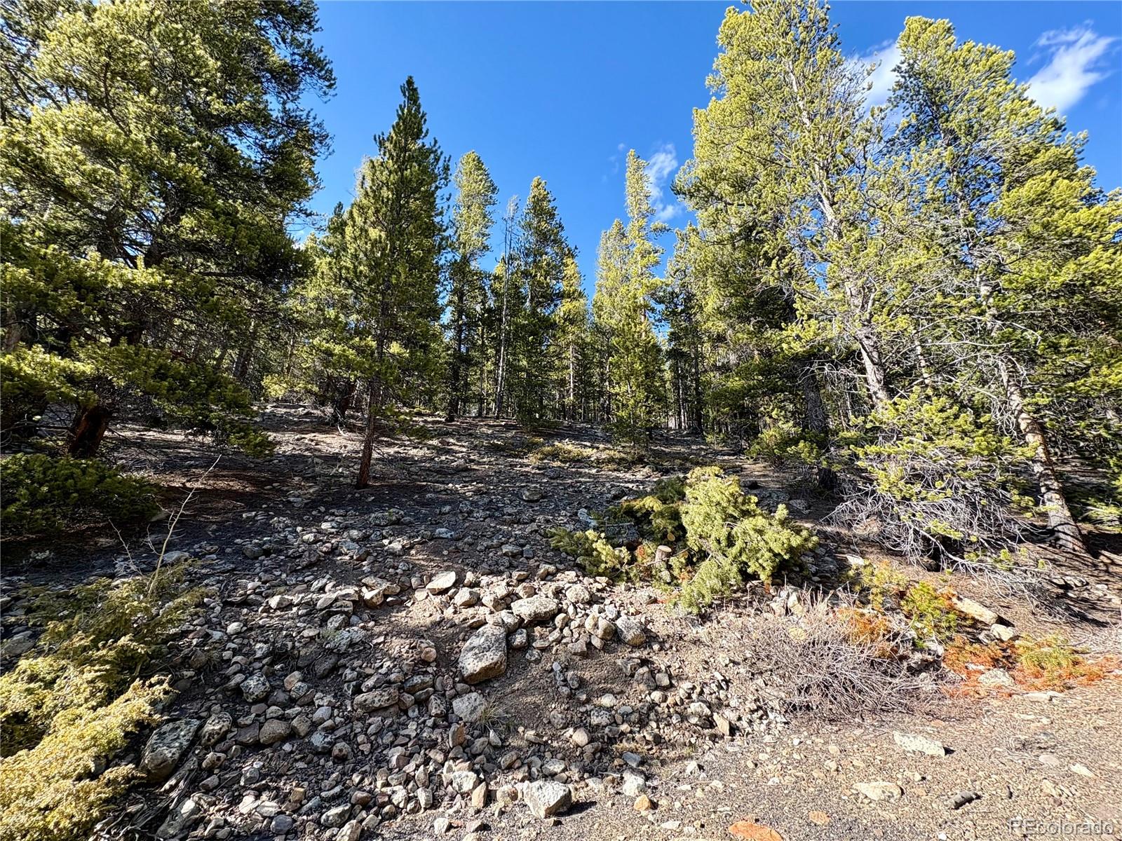 5282 Roy Leadville CO 80461