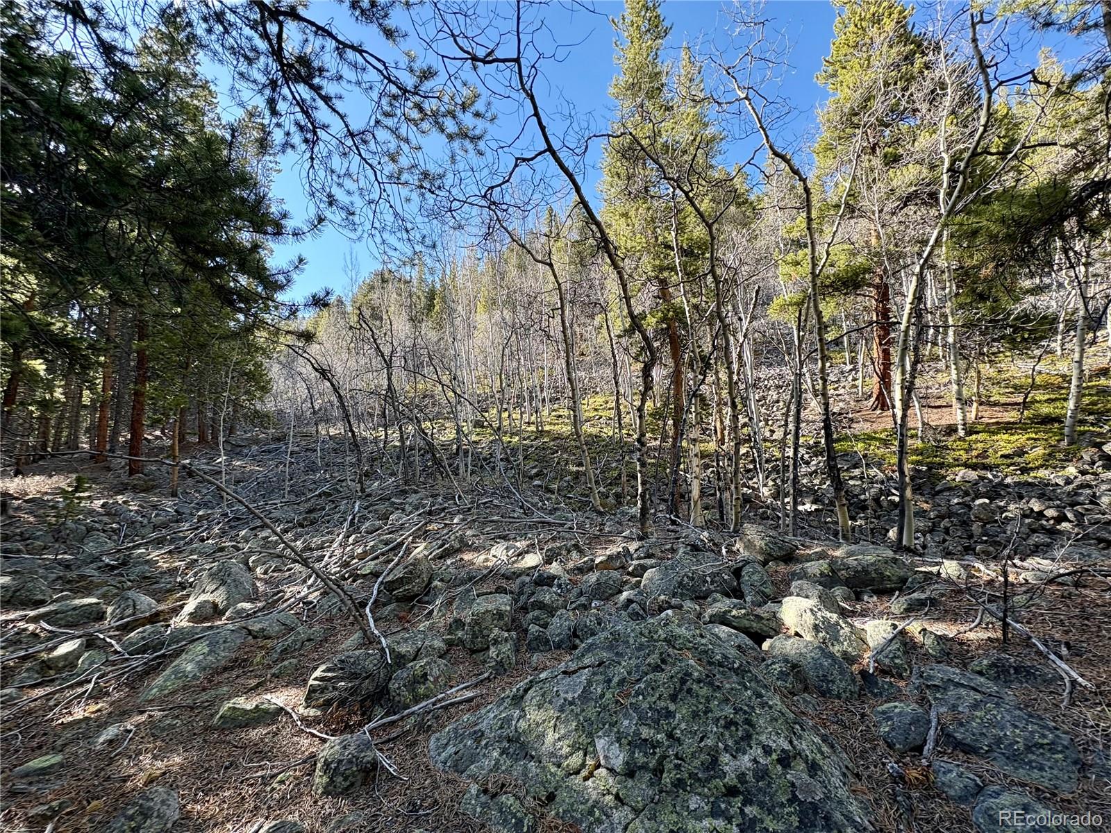 5282 Roy Leadville CO 80461