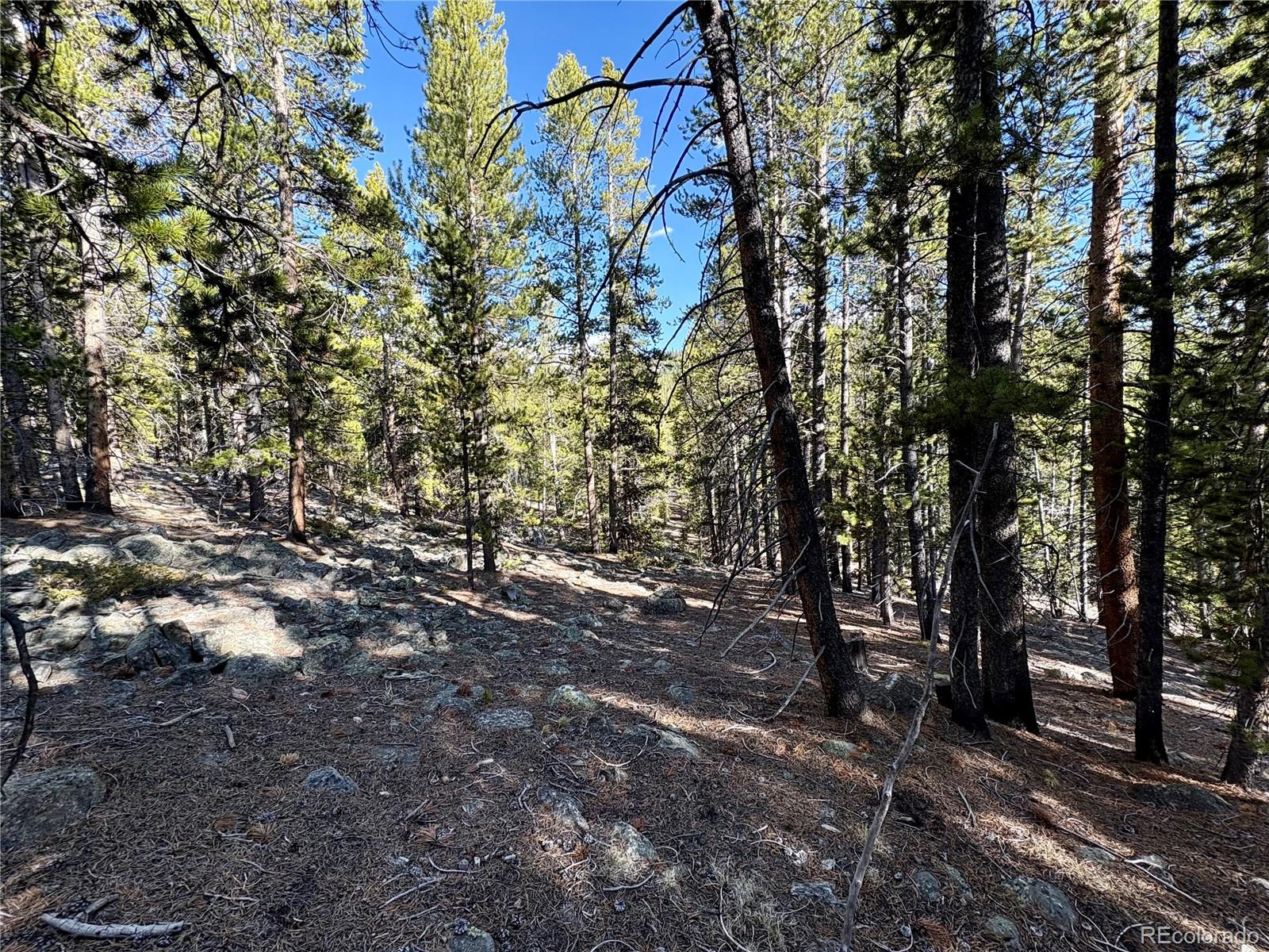 5282 Roy Leadville CO 80461