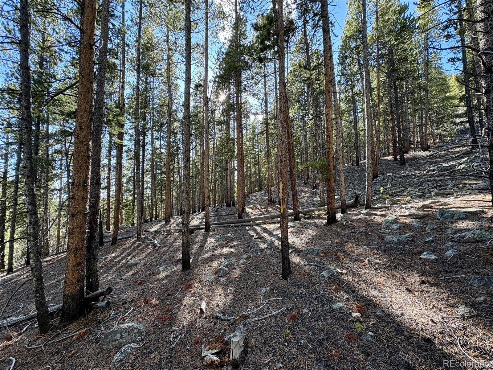 5282 Roy Leadville CO 80461