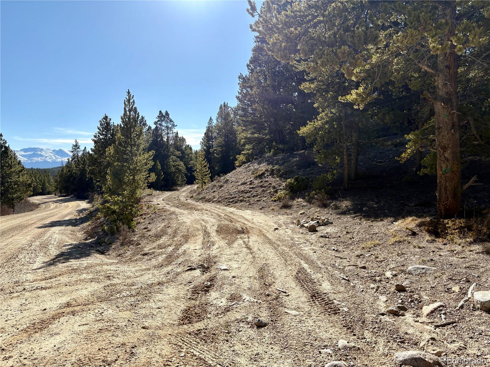 5282 Roy Leadville CO 80461