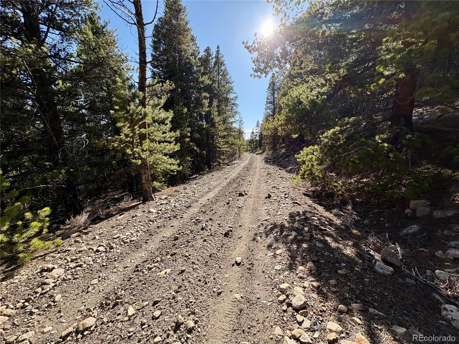 5282 Roy Leadville CO 80461