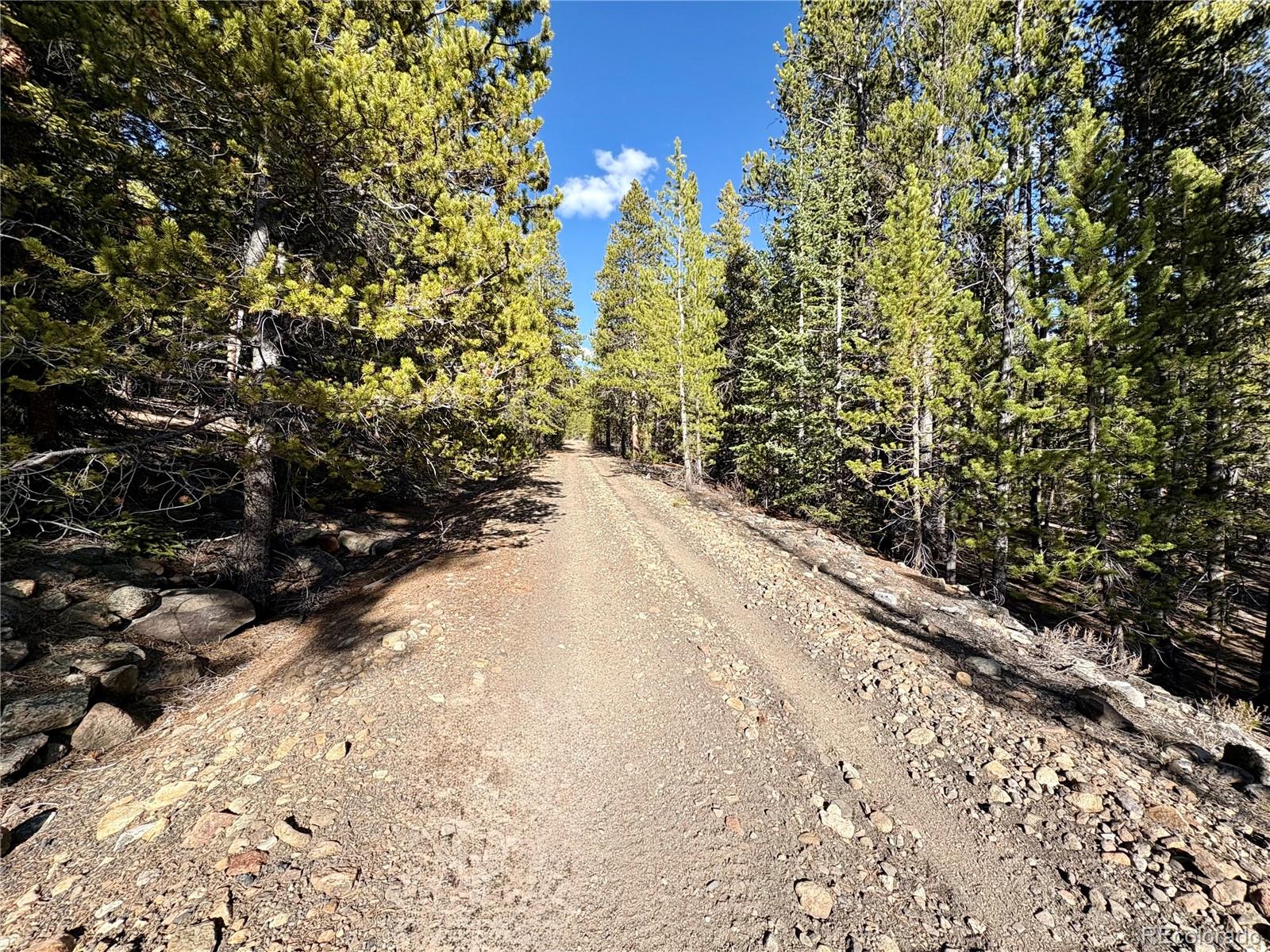 5282 Roy Leadville CO 80461