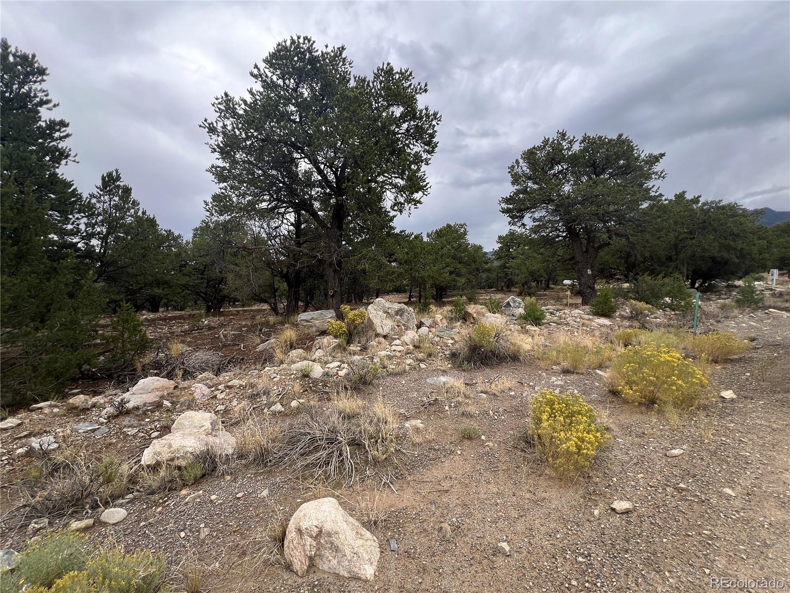 1915 Lone Pine Way Crestone CO 81131