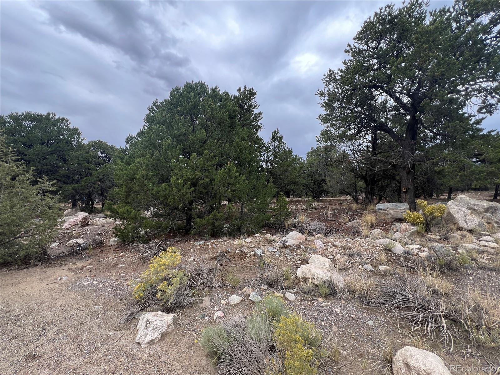 1915 Lone Pine Way Crestone CO 81131