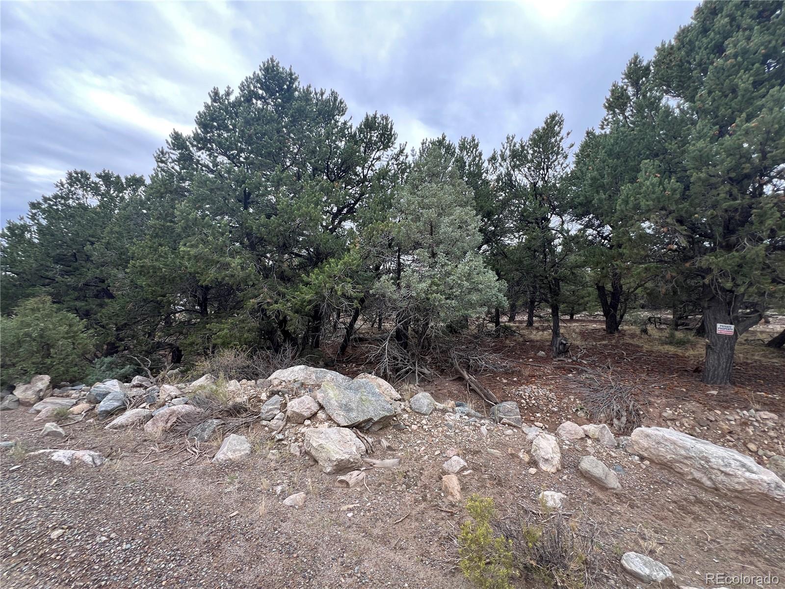 1915 Lone Pine Way Crestone CO 81131